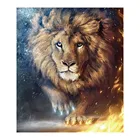 Алмазная живопись с животными, Мужской лев, Moge, полностью круглая новая самодельная Алмазная вышивка крестиком 5D вышивальная игрушка, простая домашняя декоративная картина