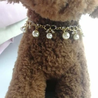 cute pearl rhinestone pet collar puppy small dog cat lovely necklace pets accessories fashion pets dogs neck chain accessories