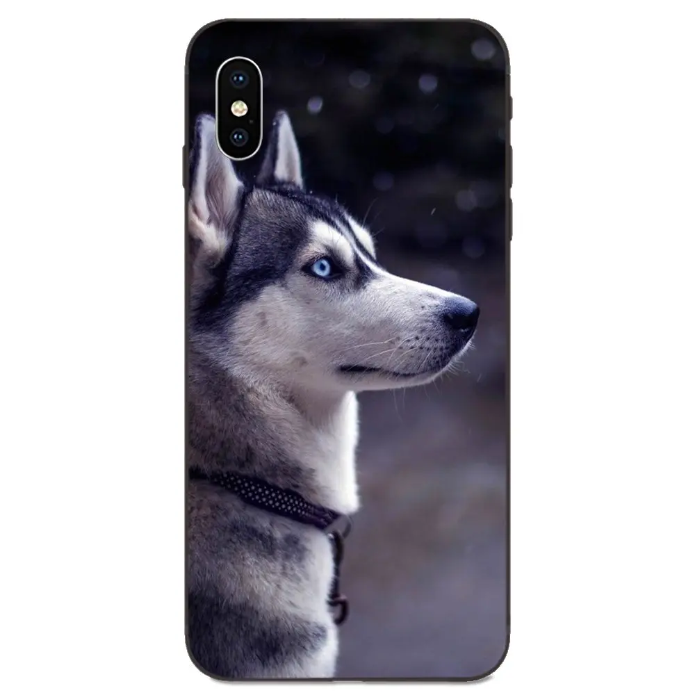 For Huawei nova 2 2S 3i 4 4e 5i Y3 Y5 II Y6 Y7 Y9 Lite Plus Prime Pro 2017 2018 2019 Lovely Alaskan Malamute Siberian Husky Dog | Мобильные