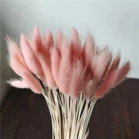 100pcslotnatural rabbit tail dried flowersreal touch mini pampas bunches wedding home decorationarrangement shooting props