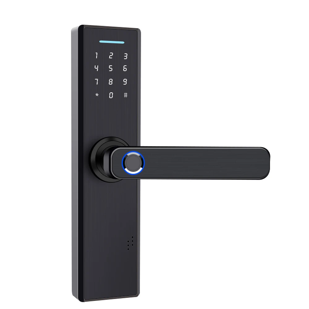 

WiFi Electronic Smart Electric Lock Password Door Lock Biometric Fingerprint Door Locks Digital Keyless Home Hotel APP Control