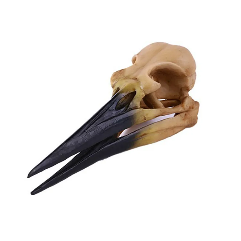 Обучающие принадлежности для школы динозавр птица скелет череп