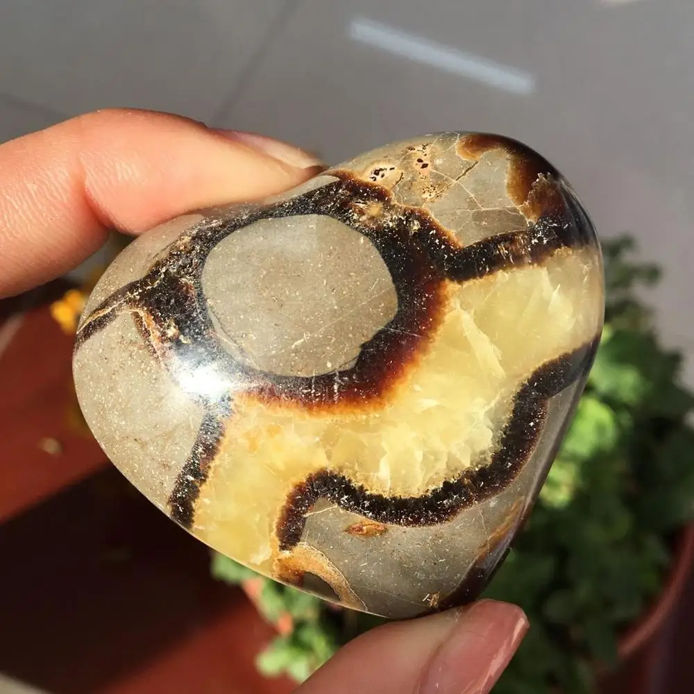 

High Quality Natural Turtle Back Stone Heart Reiki Gem Healing Rare Decorative Gifts