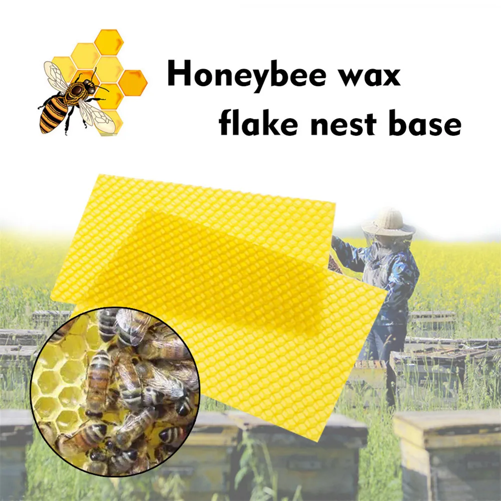 10/30pcs Beeswax Sheets with Honeycomb Texture Bees Wax Coated Deep Foundation Flake Nest Base Beeswax tablets for bees