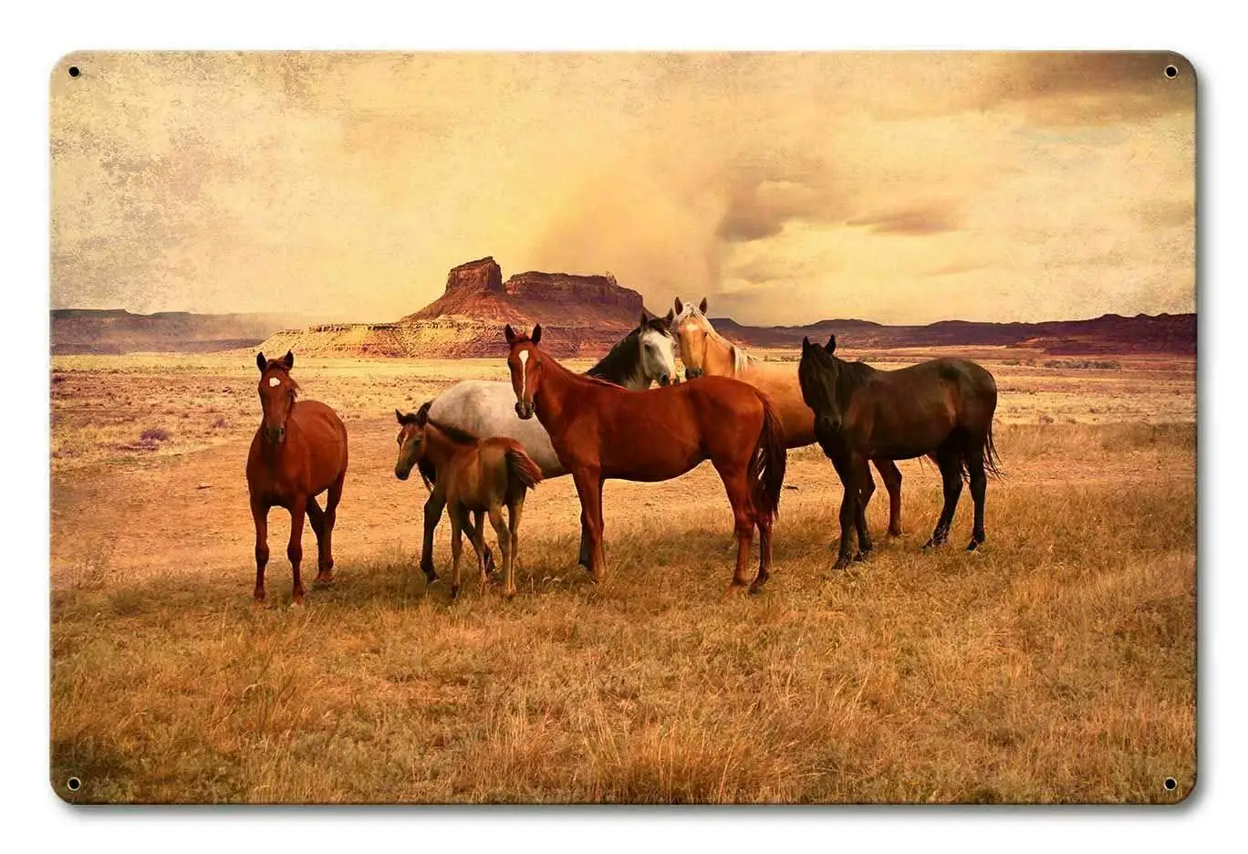 

Винтажные дикие лошади на равнинах, металлическая жестяная вывеска, домашний бар, кухня, ресторан, настенные вывески, табличка, аксессуары д...