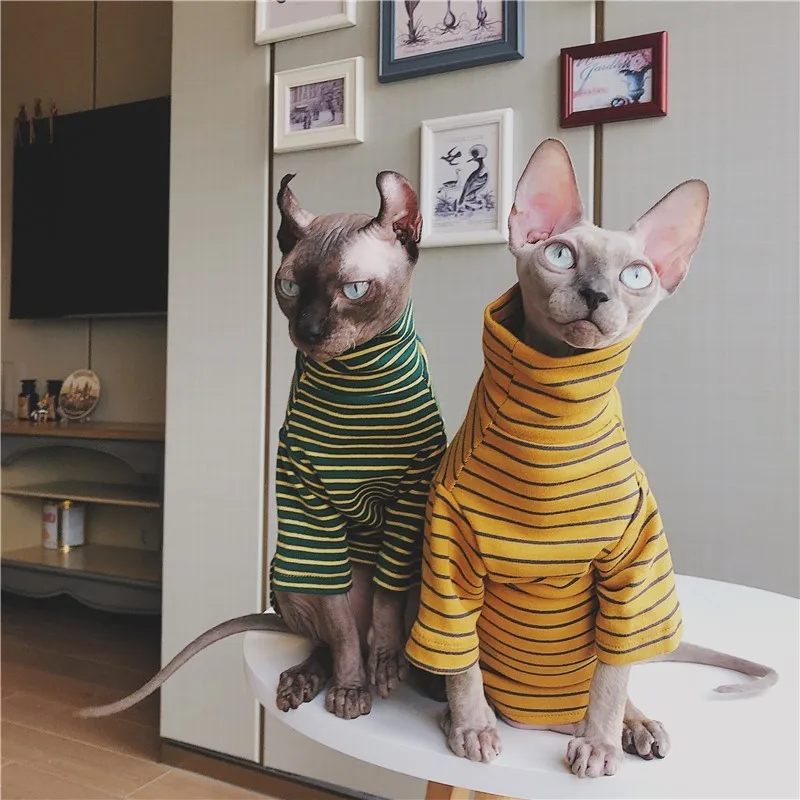 Одежда для собак и кошек Steefan Sphinx одежда Devin Литература любителей домашних