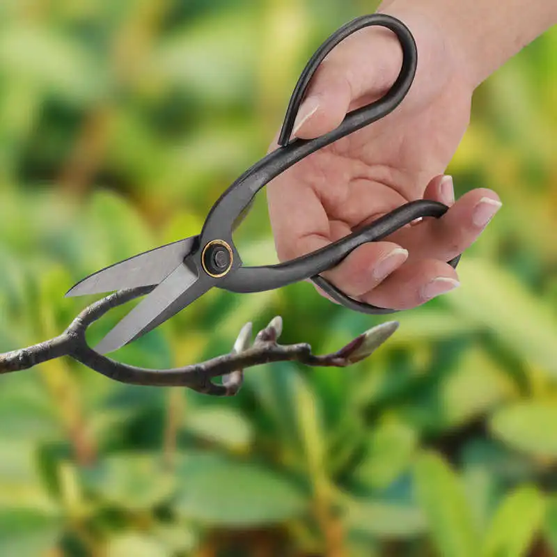 

Scissor Pruning Tools 200mm Sturdy Steel Bonsai Scissors Pruning Shear Roots Branches Trimming Tool Garden Cutter Cutting Tool