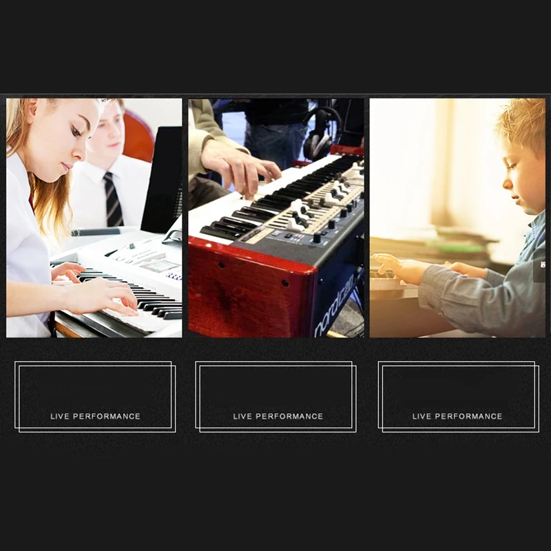 

Alctron PS-1 Piano Sustain Pedal Foot Switch Suitable for YamahaCasio