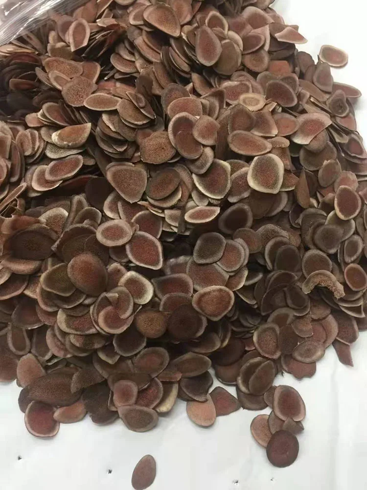 

Free of charge, high quality velvet antler blood tablets enhance immunity