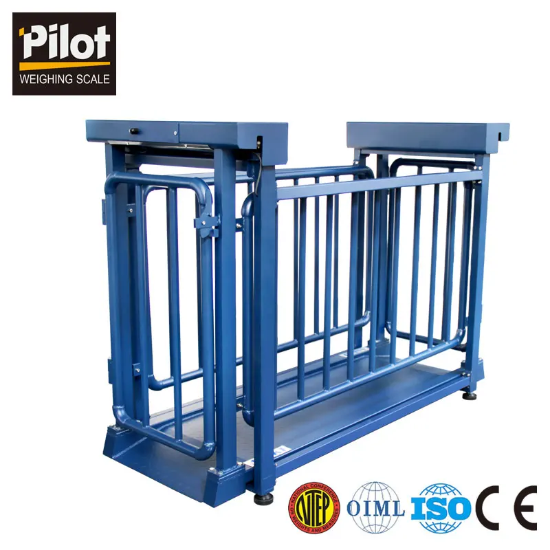 

China cheap digital sheep weighing scale With Promotional Price