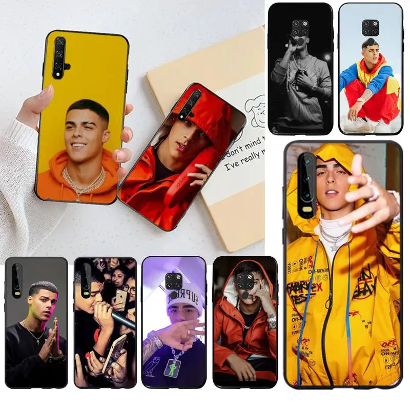 Мягкий чехол для телефона PENGHUWAN singer Lunay pop с индивидуальным фото Huawei P30 P20 lite Mate 20 Pro P