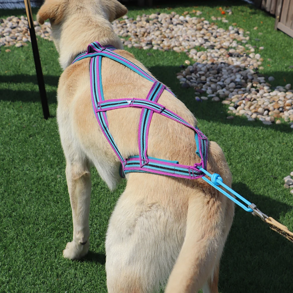 Поводок для вытягивания веса собаки поводок домашних животных больших собак