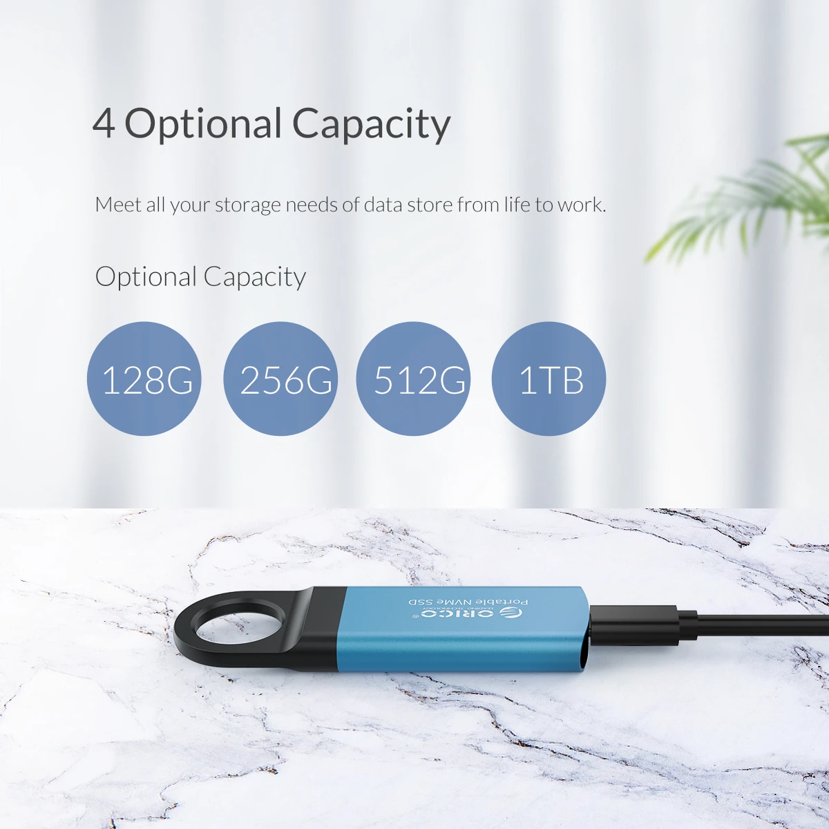 ORICO мини внешний SSD M2 NVME жесткий диск 1 ТБ 128 ГБ 256 ГБ 512 ГБ NVME мобильный портативный SSD USB C 3,1 10 Гбит/с Твердотельный накопитель