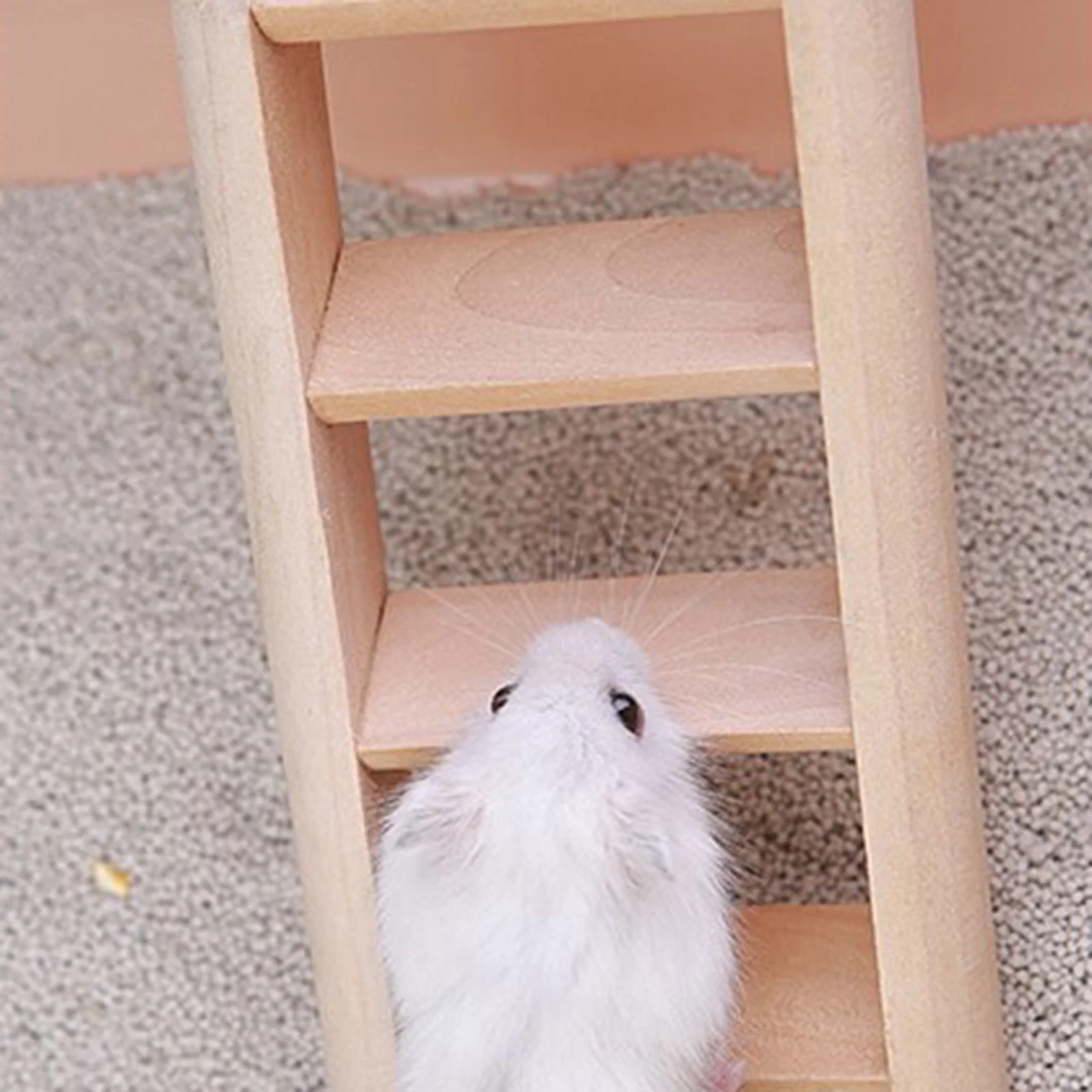 Wooden Hamster Ladder Playground Activity Toy Hanging for Wood Cage Pets Small Animal Climbing Accessories | Дом и сад