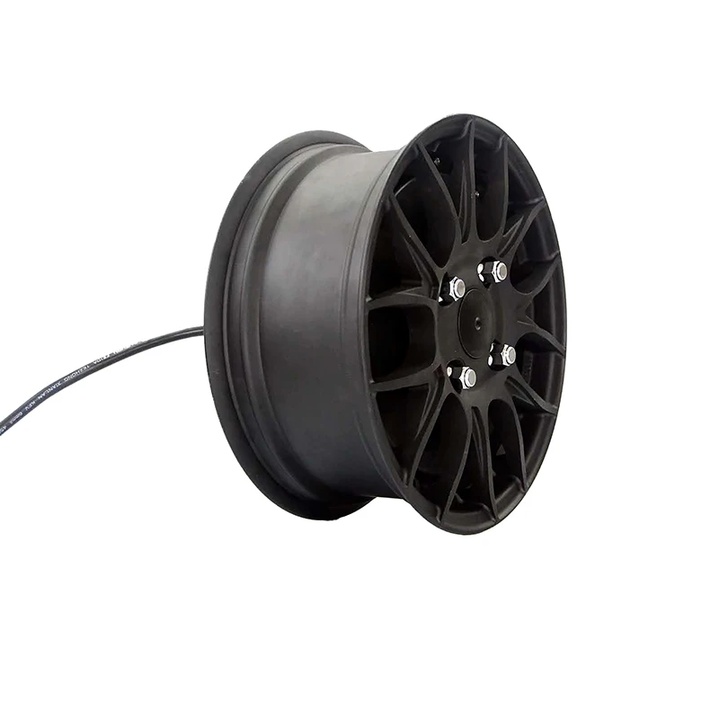 QS260 3000W 40H одновальный Электрический автомобильный мотор В1 тип с 12-дюймовым