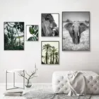 Настенный постер с зелеными листьями в скандинавском стиле, рисунок льва, слона, животных, Тропическое дерево, растение, холст, пейзаж, украшение для гостиной
