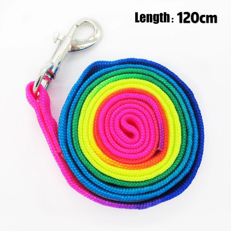

Pet Toy Strong Durable Dog Collar High Quality Adjustable Nylon Puppy Colorful Harnesses Lead Set Outdoor Pet Supplies