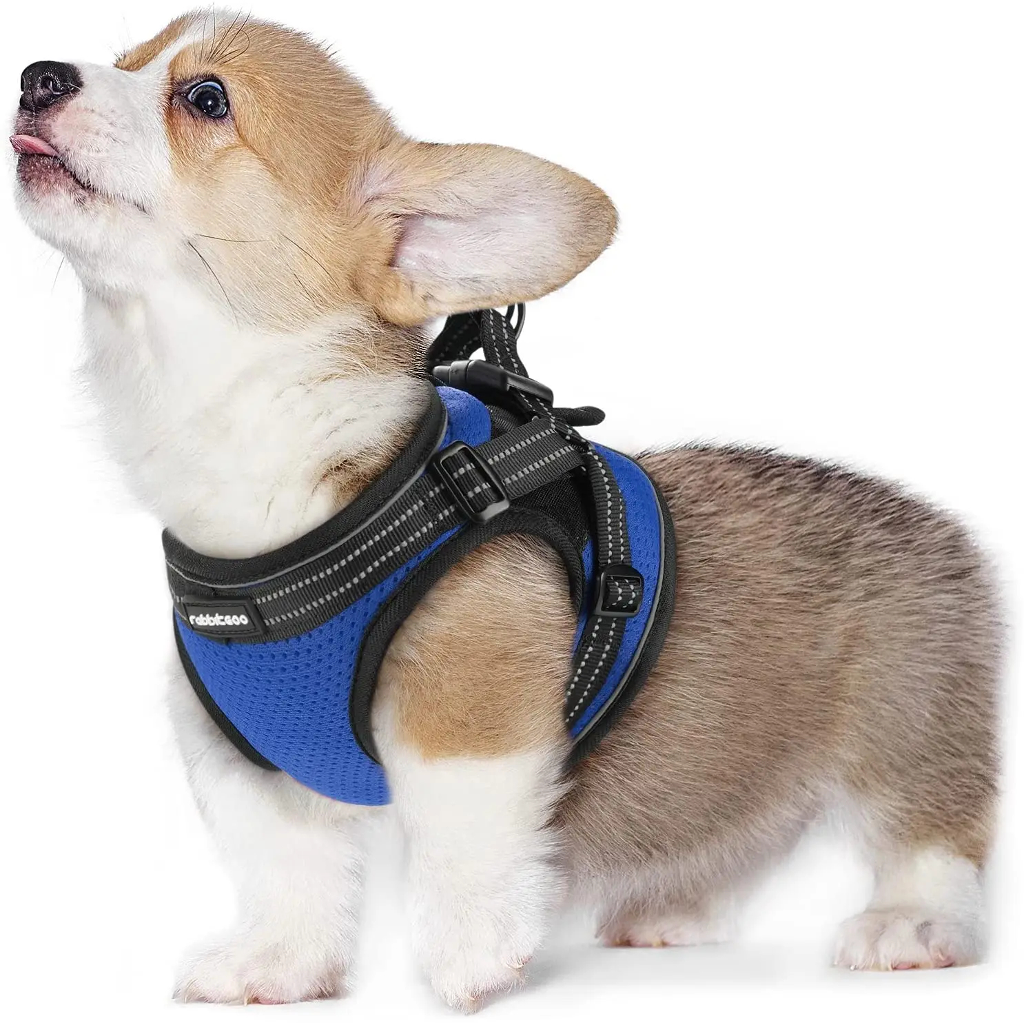 

Rabbitgoo Small Dog Harness No Pull Dog Vest Harness with Double Clips Reflective 4 Adjustable Straps Soft Mesh Dog Harness