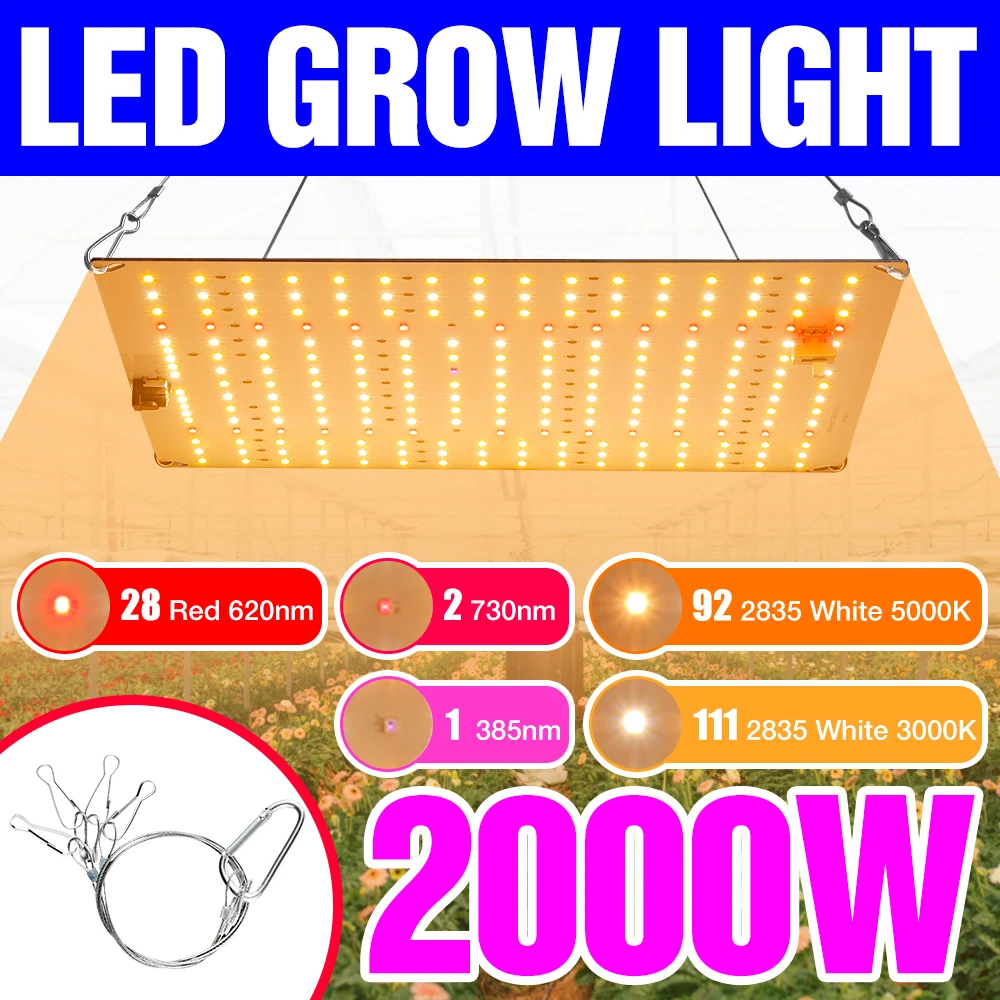 

LED Grow Light 220V Phyto Lamp Full Spectrum Plant Lamp Fitolamp For Indoor LED Plant Bulb Greenhouse Seedlings Flower Phytolamp