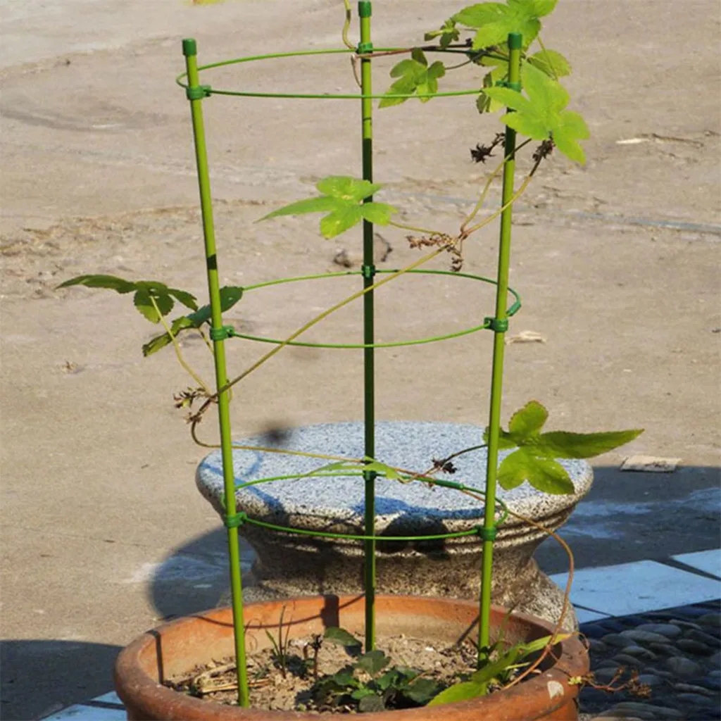 

Vine bonsai climbing Stake Stick Ring Support Asparagus Morning glory Vine Entangling Pergola Holder