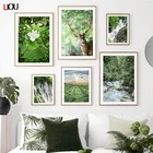 Зеленая лес трава водопад суккуленты искусственная Картина на холсте скандинавские плакаты и принты настенные фотографии для гостиной