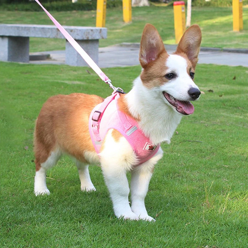 Комплект из ветрозащитного жилета и поводка для собак вельветовый дышащий