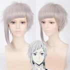 Парик с короткими серебристыми и серыми волосами Nakajima atсуши, парик для косплея аниме бродячие псы, синтетический парик для косплея, 35 см