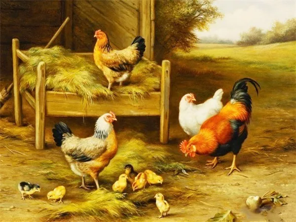 Алмазная картина животное курица DIY вышивка домашний фермерский дом украшение