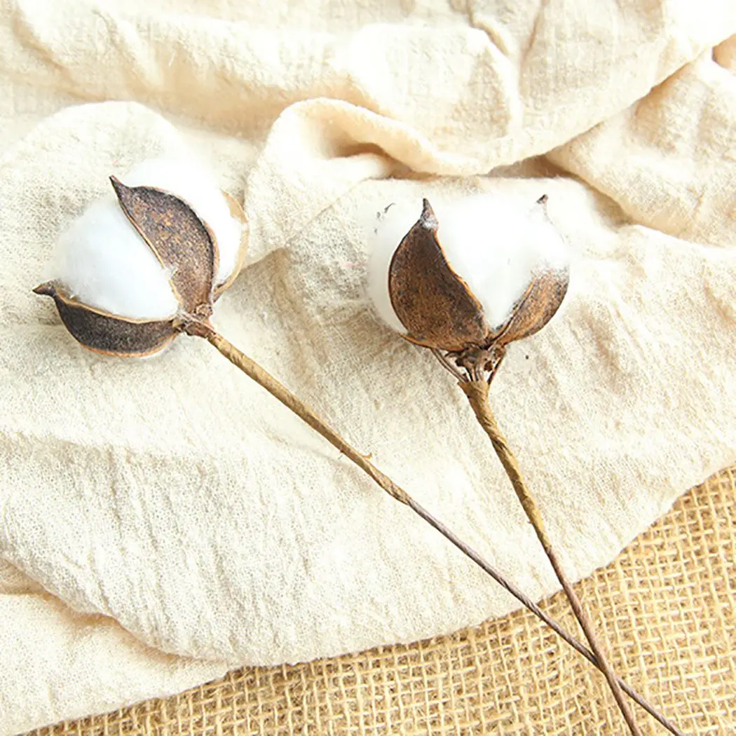 20 шт./Партия DIY естественные высушенные хлопковые стебли фермерский дом