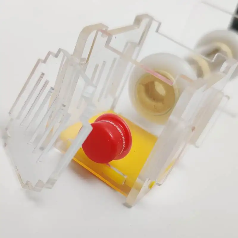 Муравьи гнездо фермы с областью и бамбуковой соединительной трубкой|Товары для