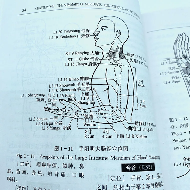 Книжка для сравнения китайских и английских лекарств навыки с иллюстрацией