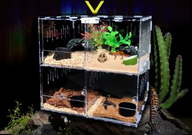 Transparent Acrylic Terrarium, Acrylic Breeding Box