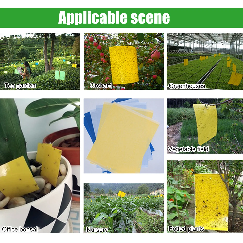 20 шт. наклейка-ловушка для насекомых | Дом и сад