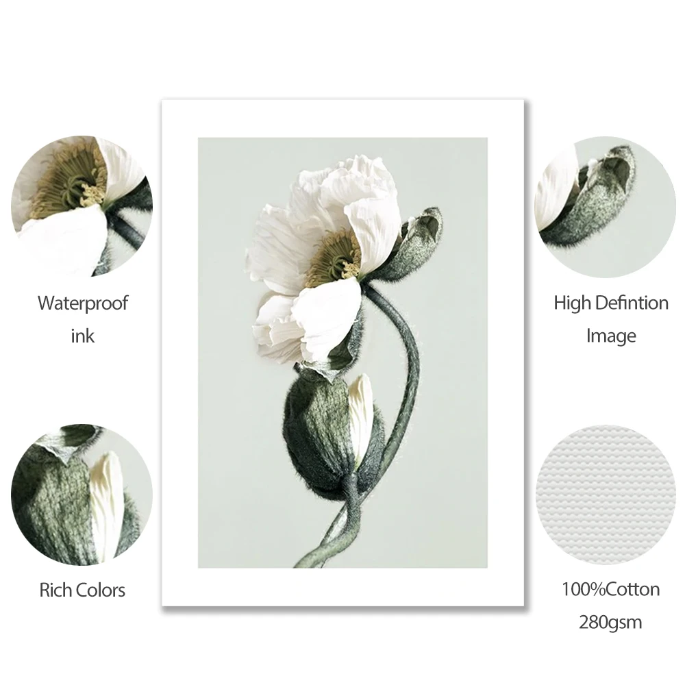 Мятно зеленые растения искусство холст постеры и принты скандинавский простой