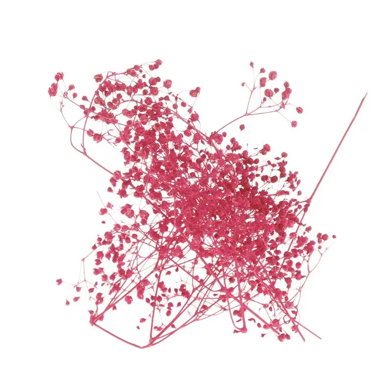1 коробка наполнитель для цветов из эпоксидной смолы|Ювелирная фурнитура и