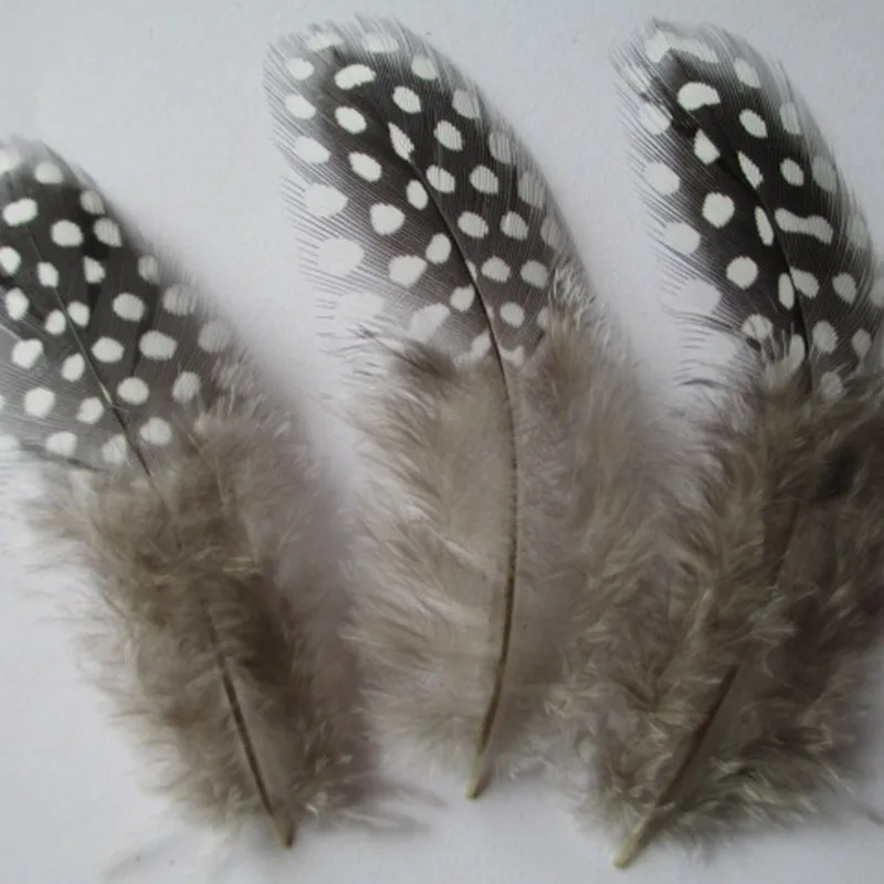 50/перья морской совы много красивых ювелирных изделий плавок цвет платья