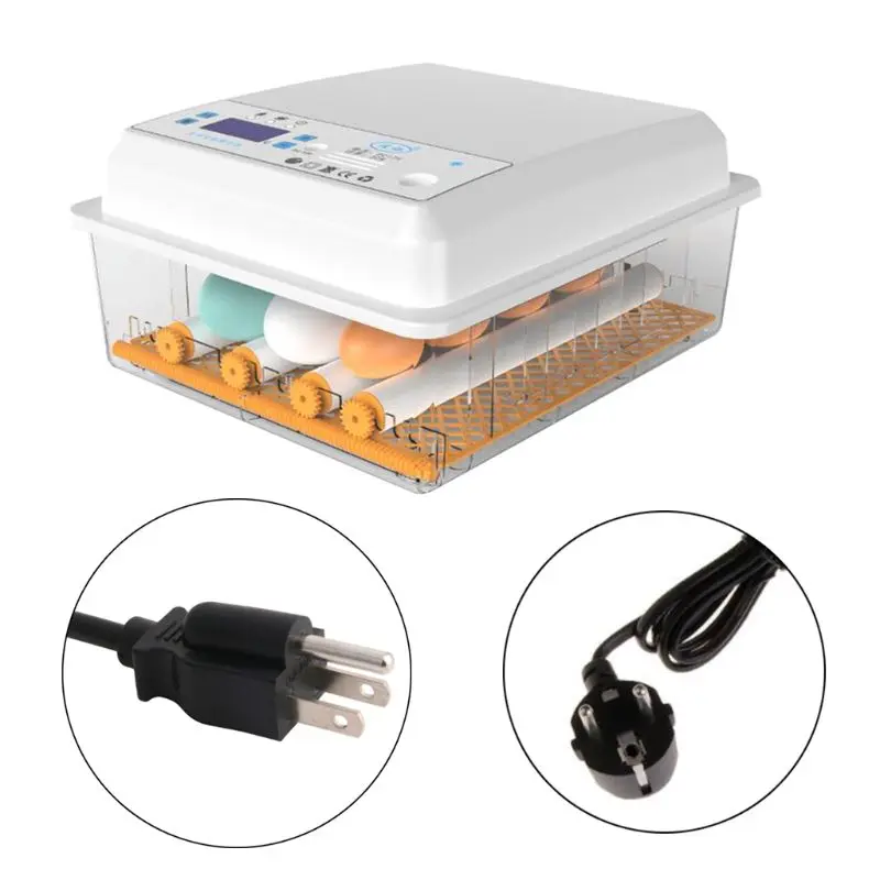 220 В инкубатор яиц Брудер птицы перепелиный цыпленок Тернер|Принадлежности для