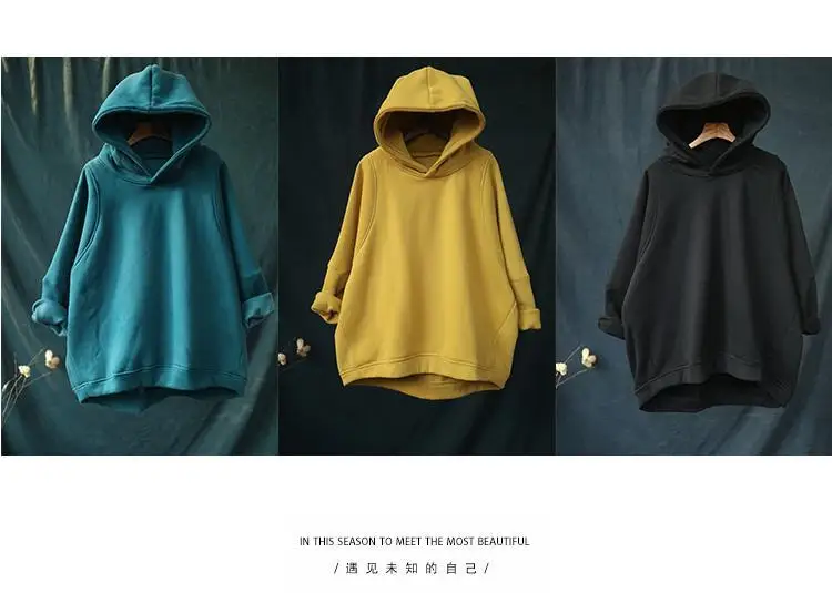 

Spring 2021 Korean loose casual top with plush thickened warm Hooded Sweater