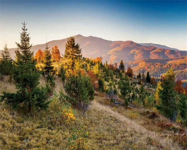 Озеро лес камень горный Холст плакат пейзаж картина природа холст стены