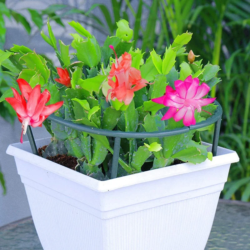

MLGB 12 Pcs Plants Supports Stakes Plastic Curve Flower Support Ring Plants Cage Holder for Plants Vegetables Tomatoes