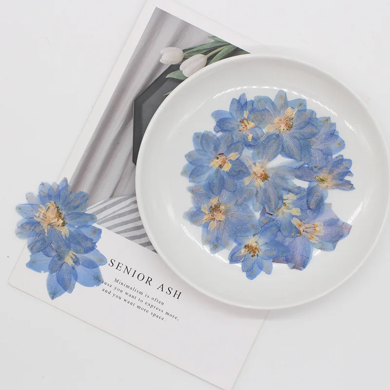 60 шт. прессованный высушенный Большой 5-7 см консолидации Ajacis цветочных растений