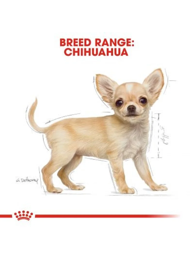 Royal Canin Чихуахуа младший щенок Еда 1 5 кг здорового роста кормления домашних