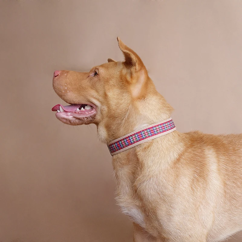 Розничная продажа яркий клетчатый аксессуар MUTTCO в британском стиле шотландская