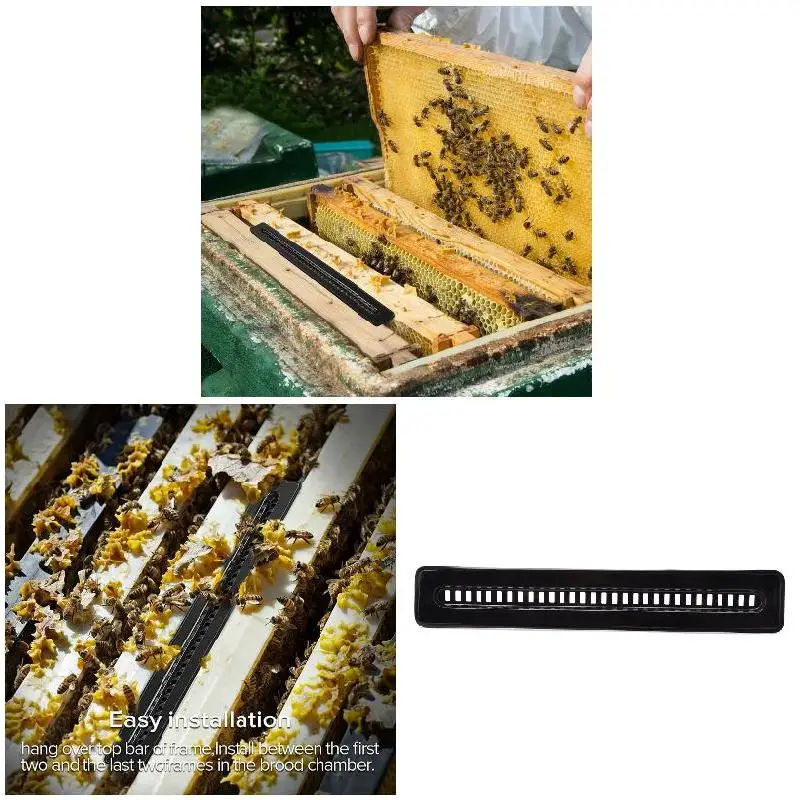 Trampa para colmena de abejas peque&ntilde;as, herramientas de apicultura, escarabajo, trampa para escarabajo, 20 piezas-5