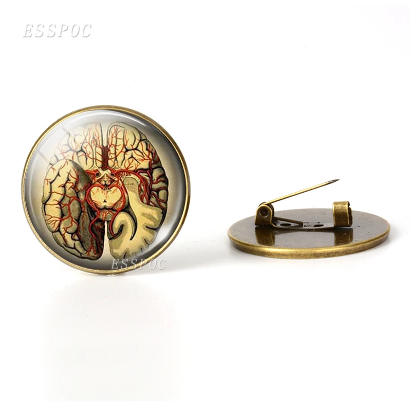 Знак сердцебиения, броши, стеклянный кабошон, купол, ювелирное изделие, Анатомическое Сердце, бронзовая брошь, булавки, сумка для женщин, мужчин, доктора, подарок на Хэллоуин - Окраска металла: as show