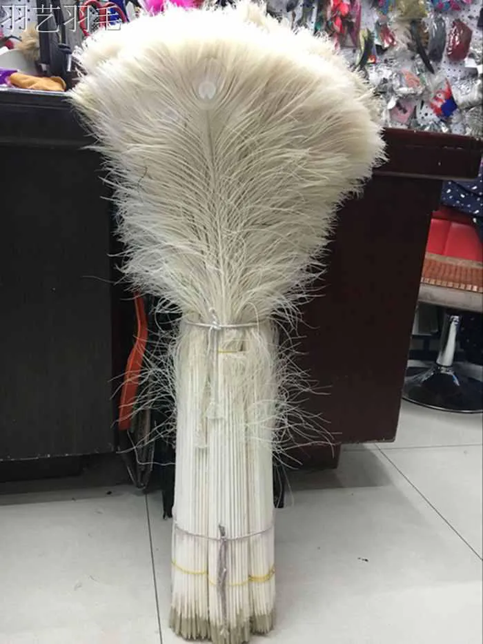 

Wholesale 500pcs beautiful Beige peacock feather eye 80-90cm / 32-36 inch decorative celebration