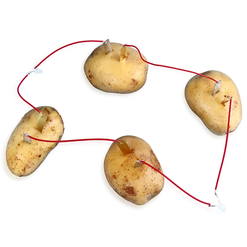 Детская научная игрушка на батарейках с фруктами для картофеля поколение