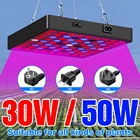 Фитосветильник ПА светодиодная полного спектра, 2040 Вт, 3050 Вт