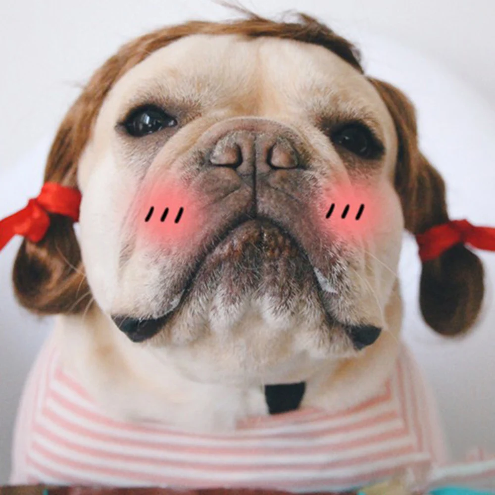 

Pet Dog Cosplay Wig Pet Funny Clothes Costumes Pets Photo Props Costume Clothing Dog Funny Show Moe Wig For New Year Decor 2022