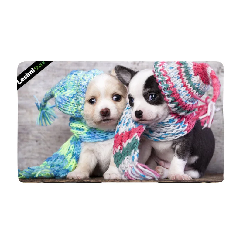 Добро пожаловать коврик для двери милый рисунок кошки и собаки домашний